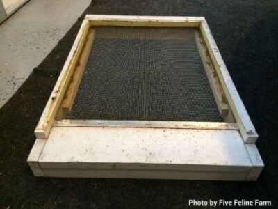 Understanding Beehives: What Are All Those Parts? Image